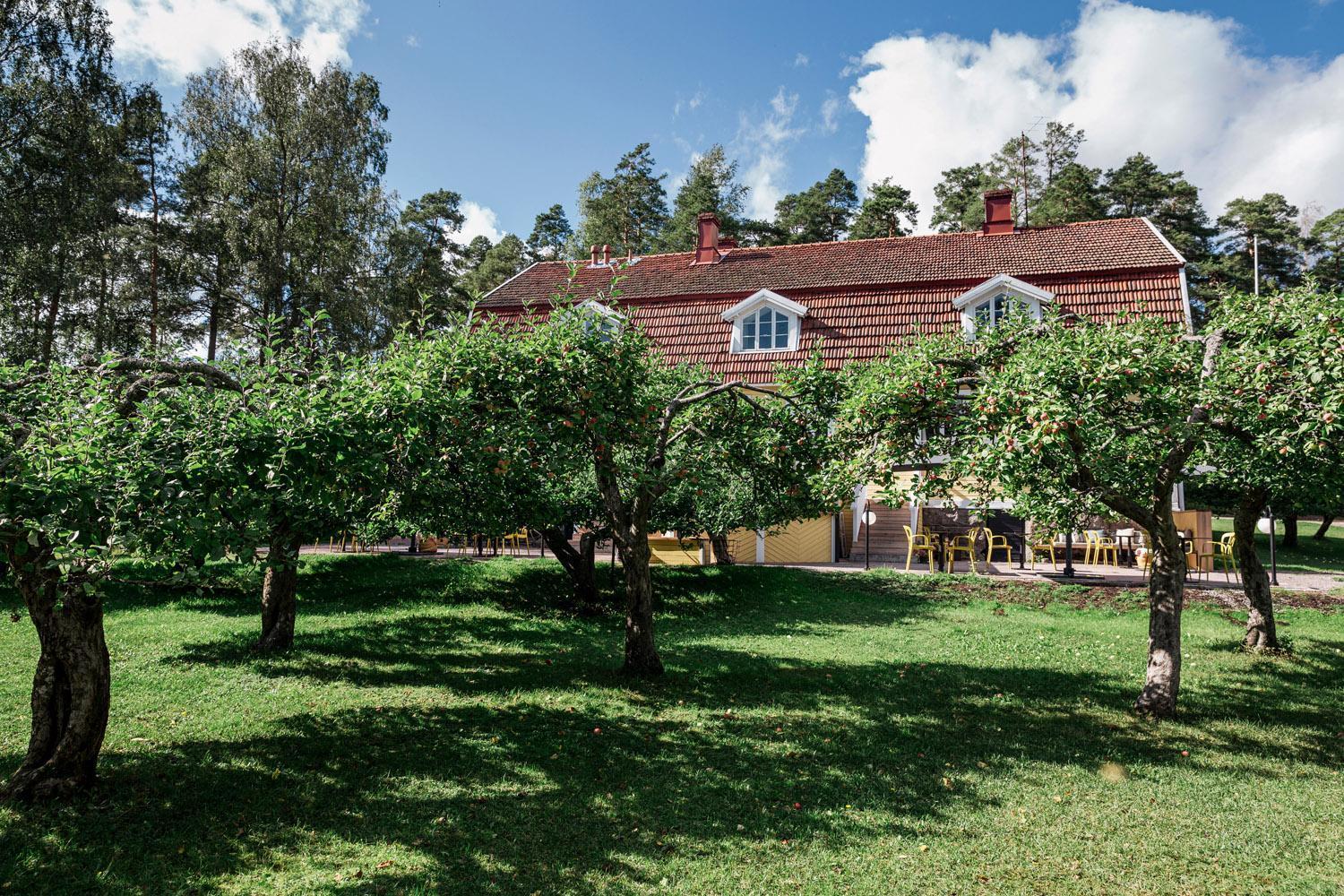 Tammiston Cottages ナーンタリ エクステリア 写真