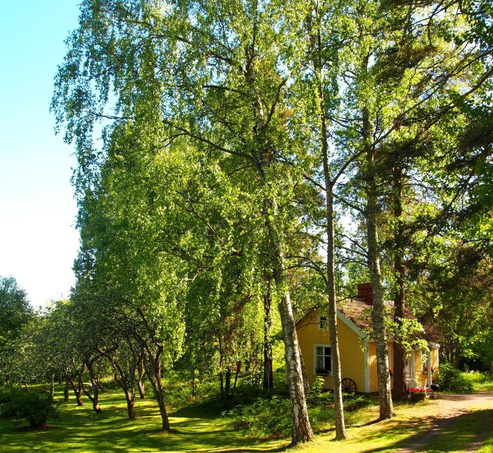 Tammiston Cottages ナーンタリ エクステリア 写真